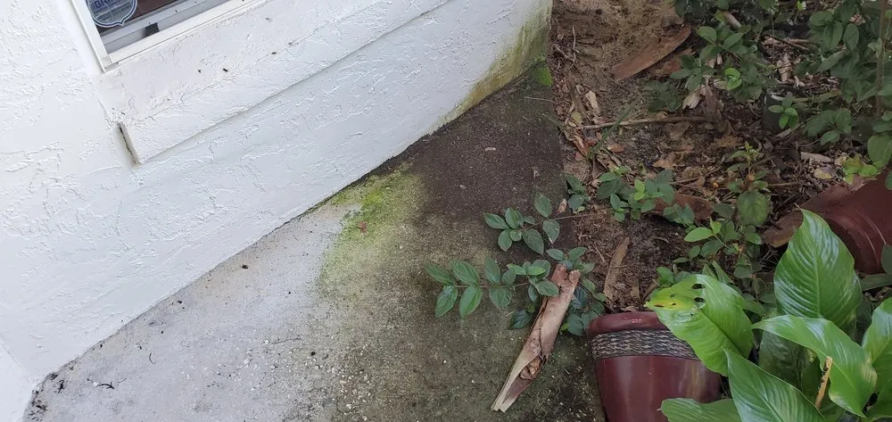 Slide of Under Pressure Pressure Washing