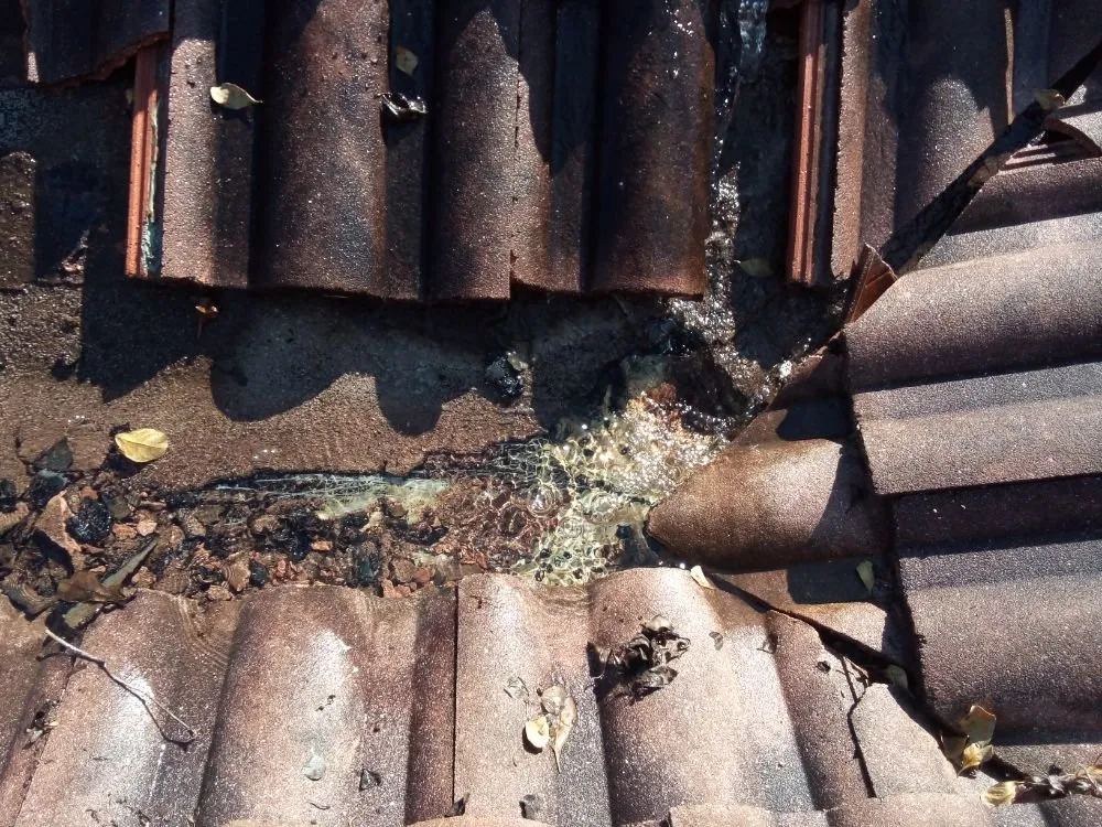 Slide of Union American Roofing