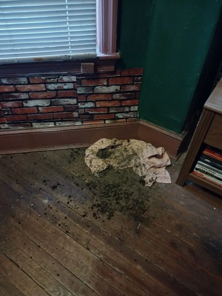 Slide of Union Roofing