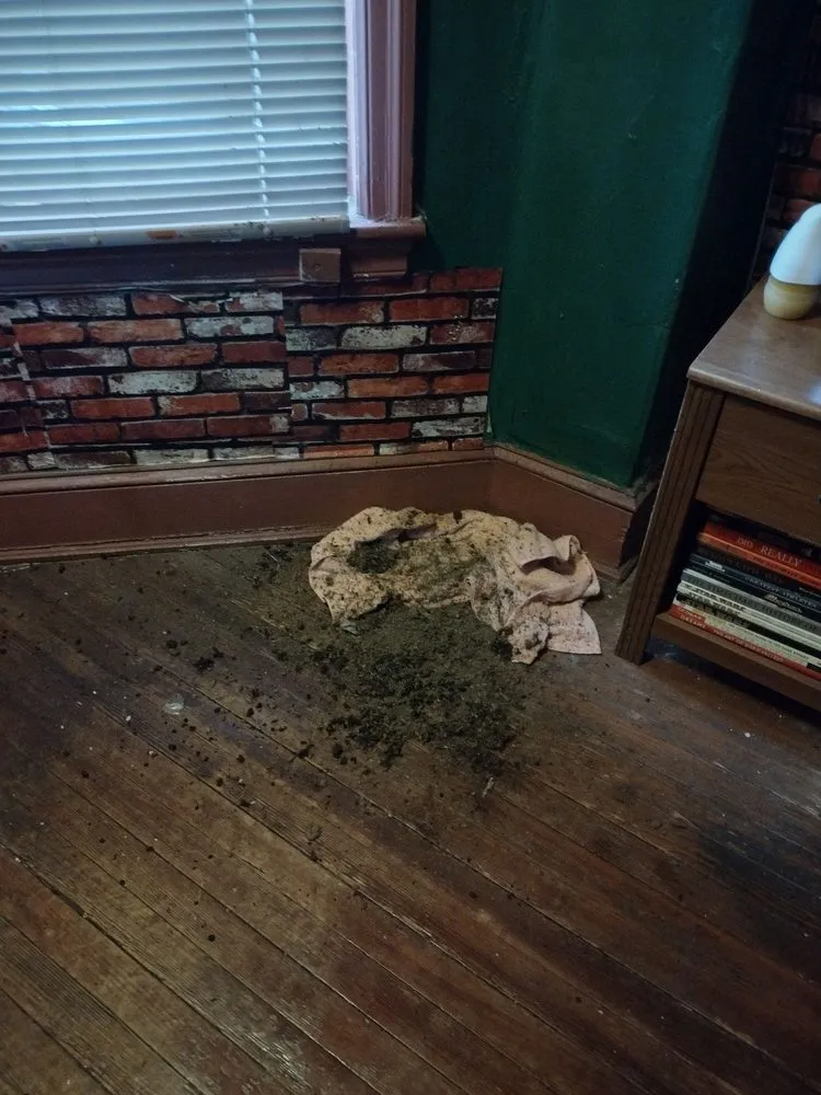 Slide of Union Roofing