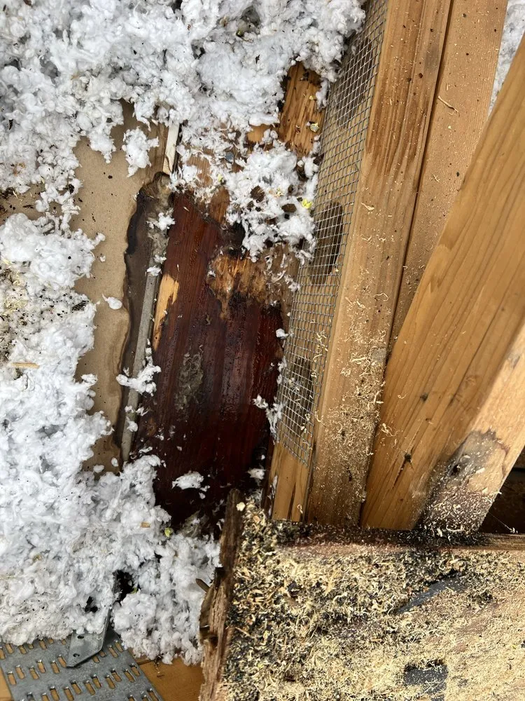 Slide of Unique home improvement