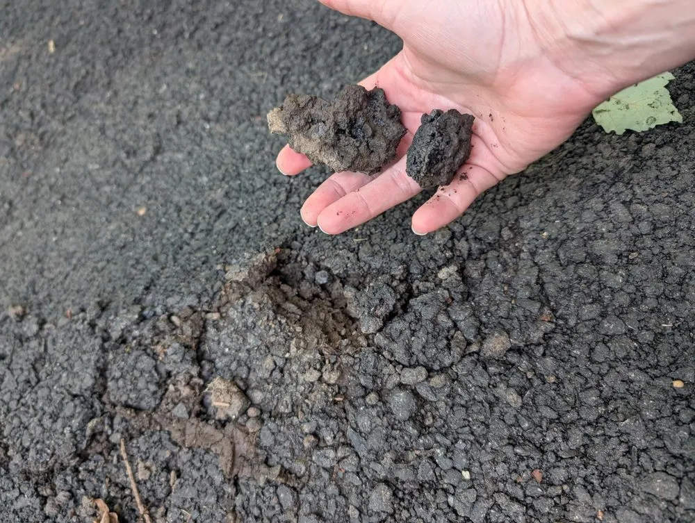 Slide of Unique Paving & Masonry