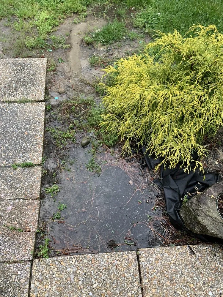 Slide of United Construction & Restoration