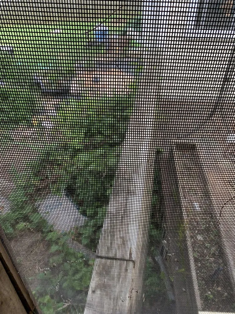 Slide of United Construction & Restoration