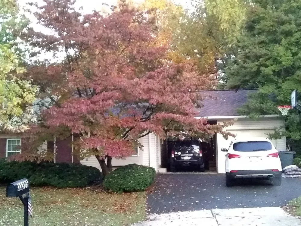 Slide of United Construction & Restoration