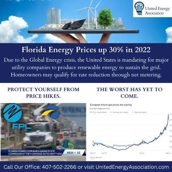 Slide of United Energy Association