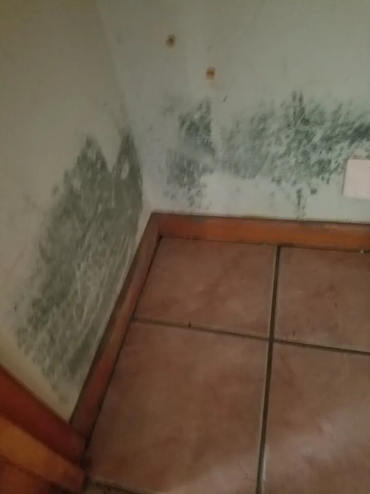 Slide of United Fire & Water Damage of Louisiana