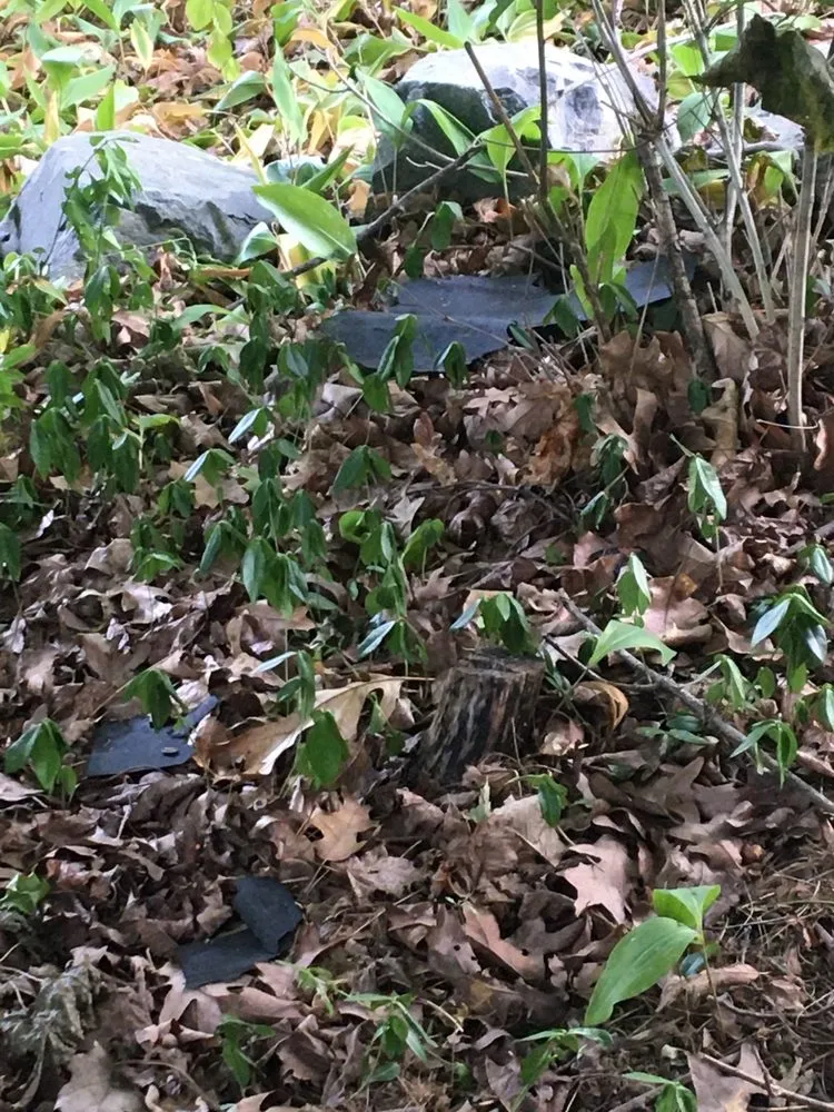 Slide of United Home Experts