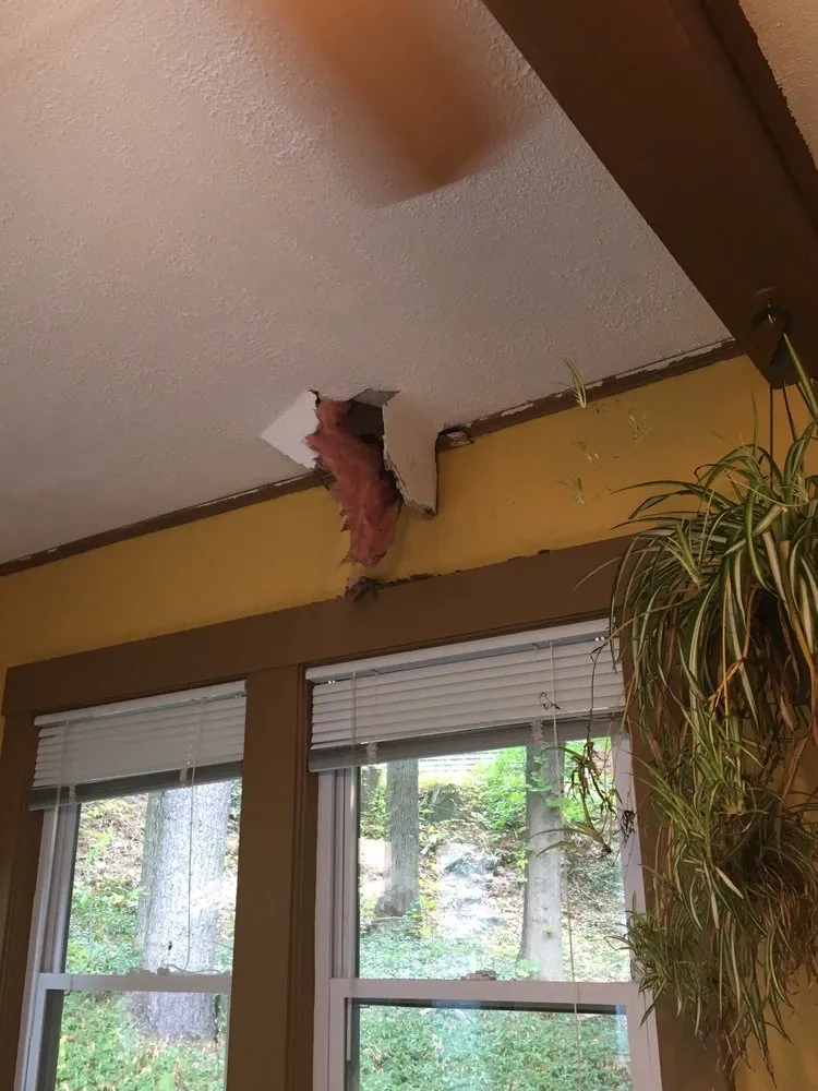 Slide of United Home Experts