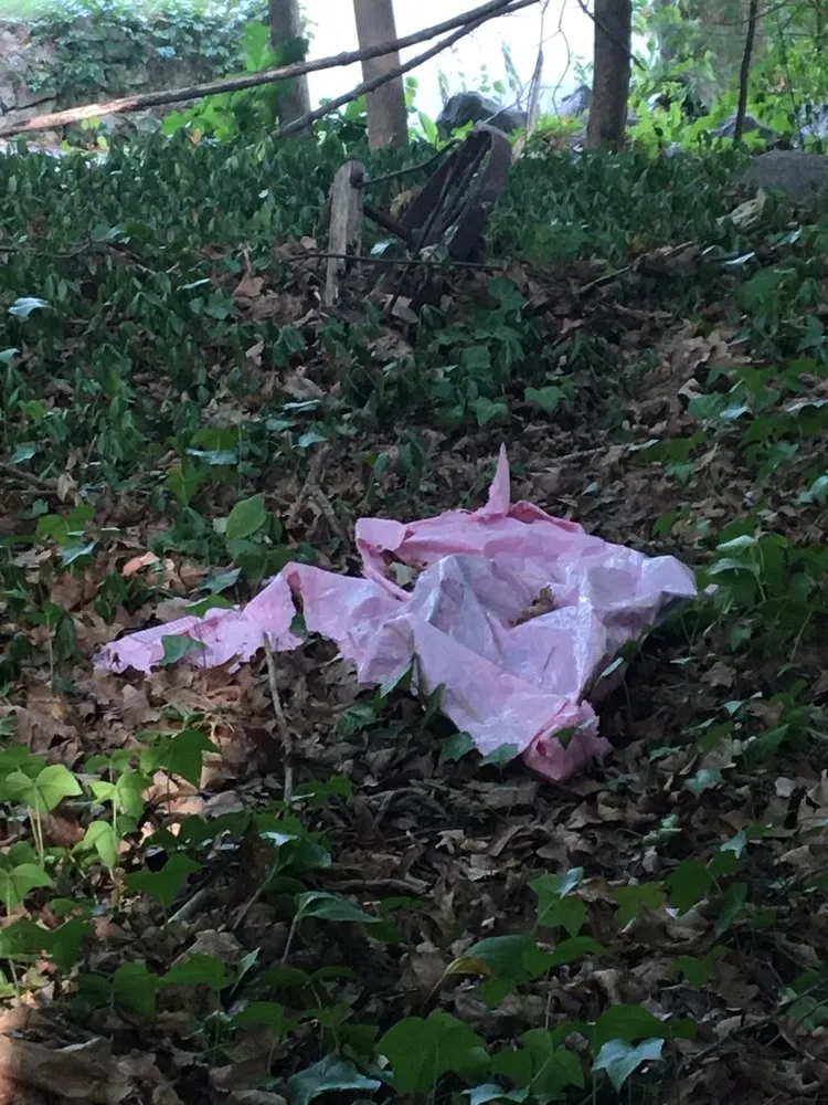 Slide of United Home Experts