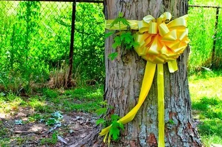 Slide of United Roofing Services