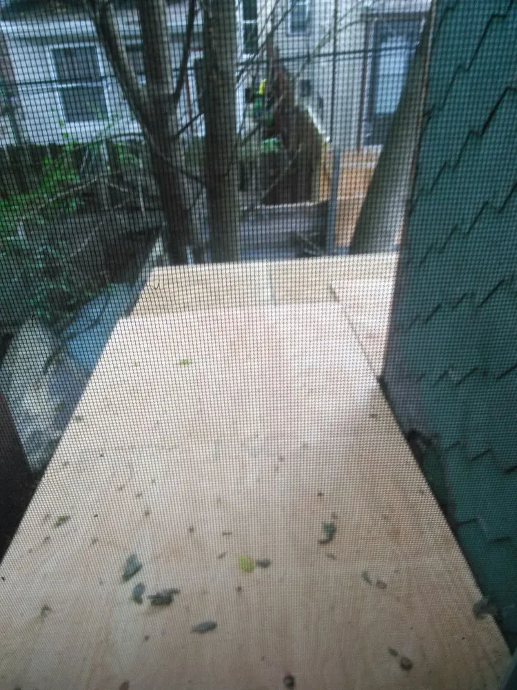 Slide of Untouchable Roofers