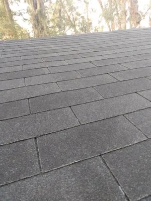 UnZucky Roofing Logo