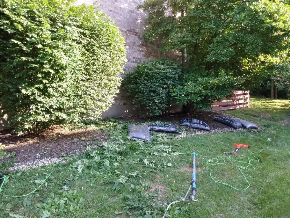 Slide of Up & Rising Remodel