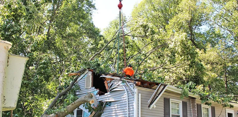 Slide of Upcountry Roofing