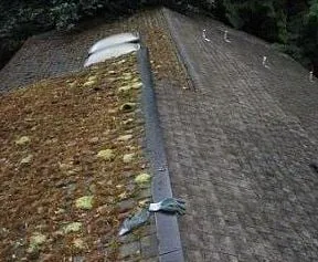 Slide of USA Gutter Window & Roof Cleaning