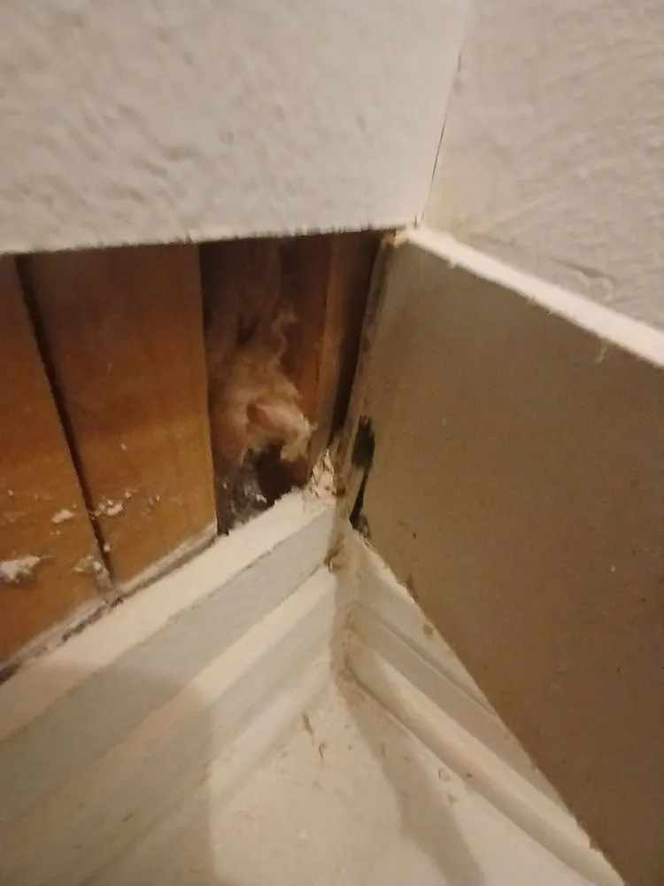 Slide of USA Mitigation