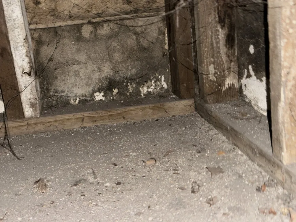 Top-rated roof replacement in St George, UT - Utah Microbial Inspections
