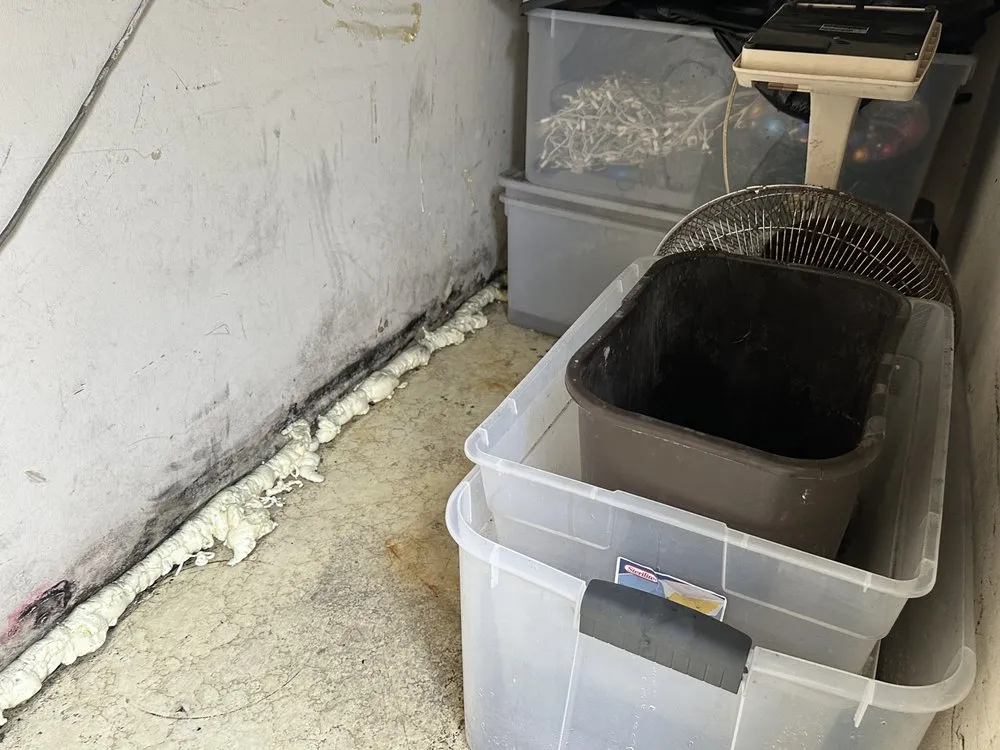 Expert roof inspection in St George, UT by Utah Microbial Inspections