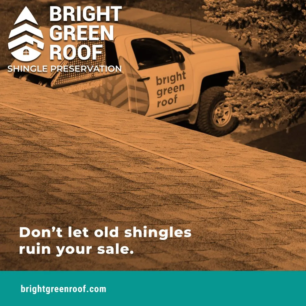 Slide of Valley Coast Bright Green Roof