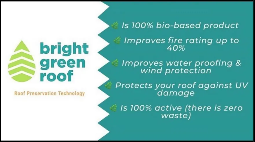 Slide of Valley Coast Bright Green Roof