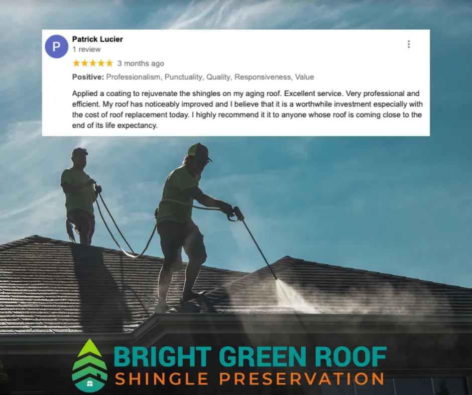 Slide of Valley Coast Bright Green Roof