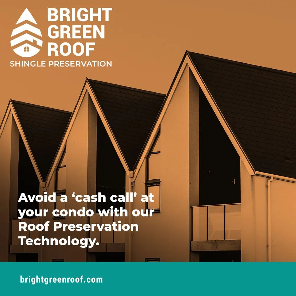 Slide of Valley Coast Bright Green Roof