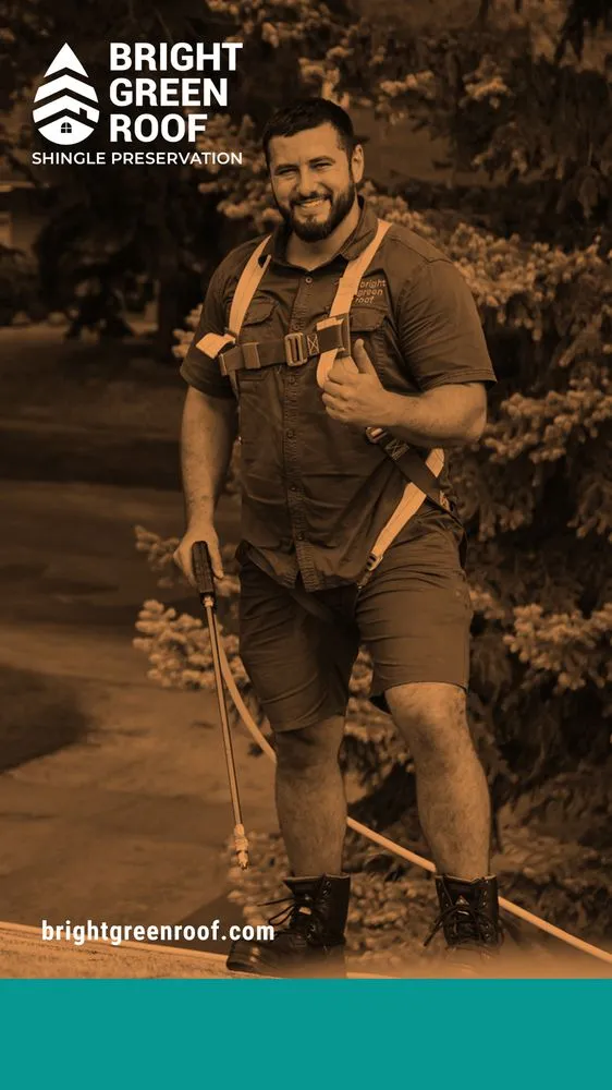Slide of Valley Coast Bright Green Roof