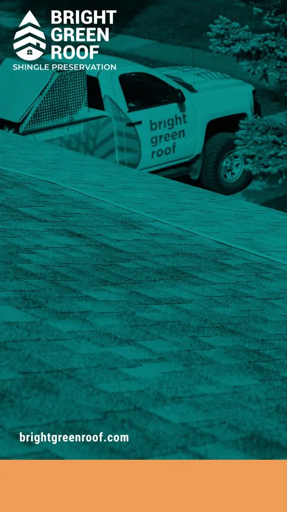 Slide of Valley Coast Bright Green Roof