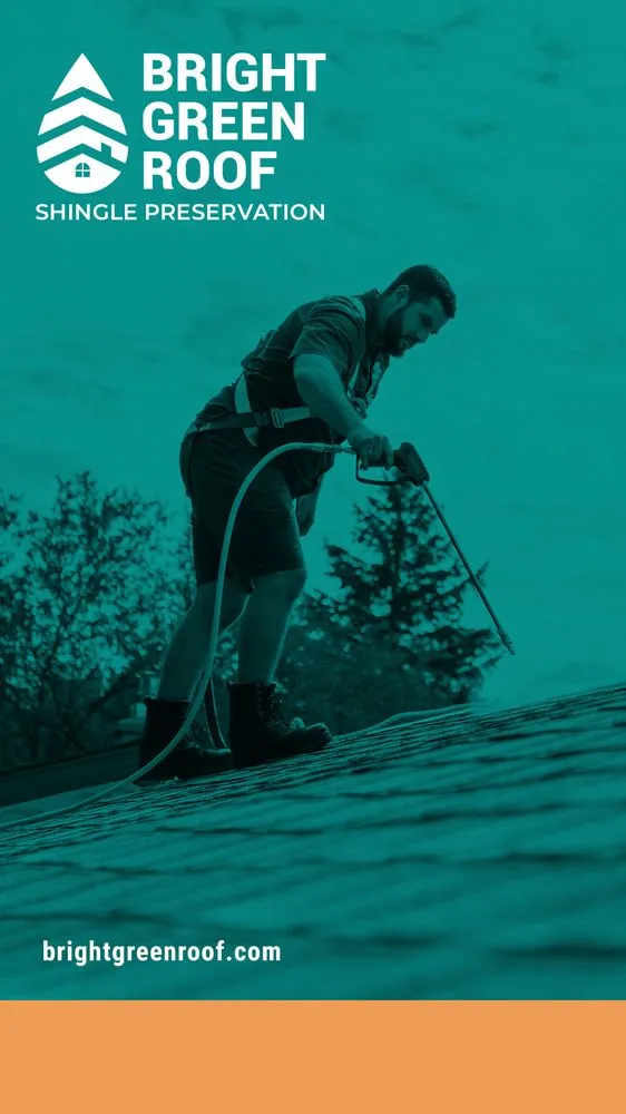 Slide of Valley Coast Bright Green Roof