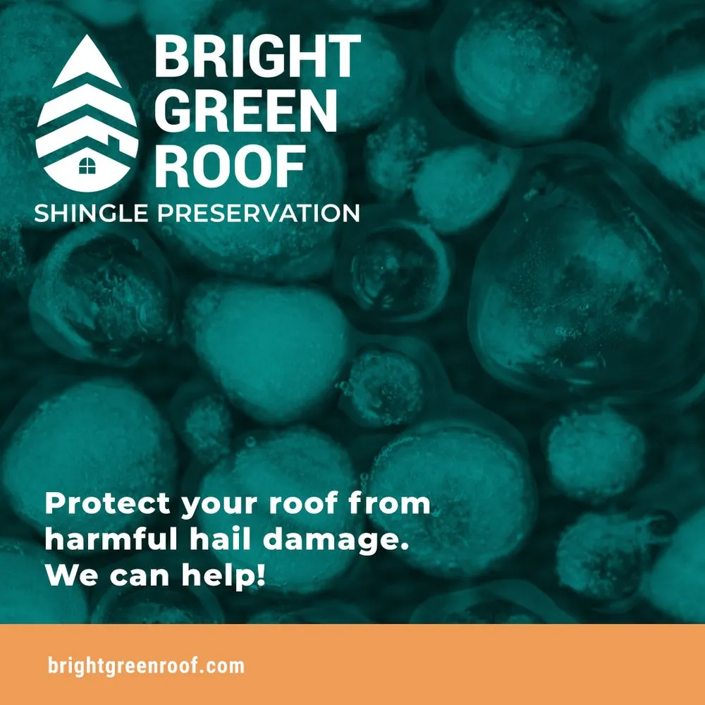 Slide of Valley Coast Bright Green Roof