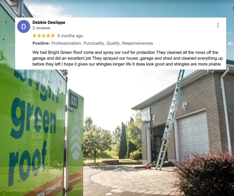 Slide of Valley Coast Bright Green Roof