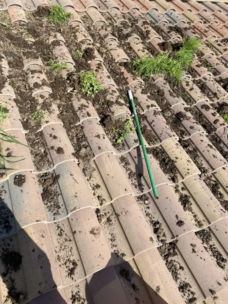 Slide of Valley Exterior Maintenance