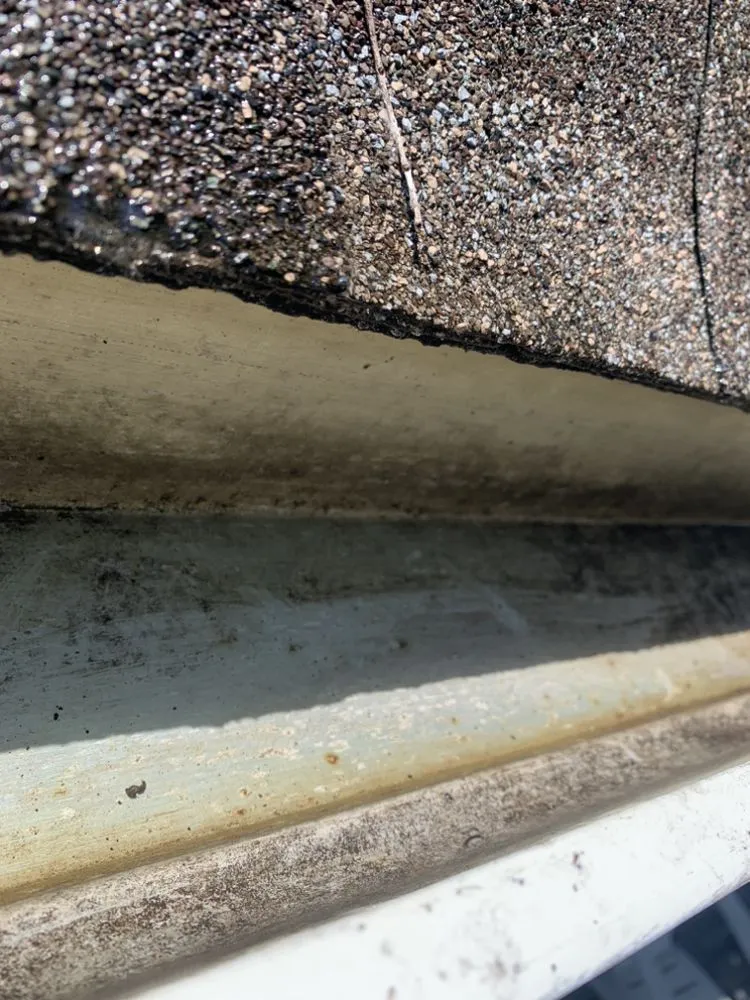 Slide of Vandyman Gutter and Roof Cleaning