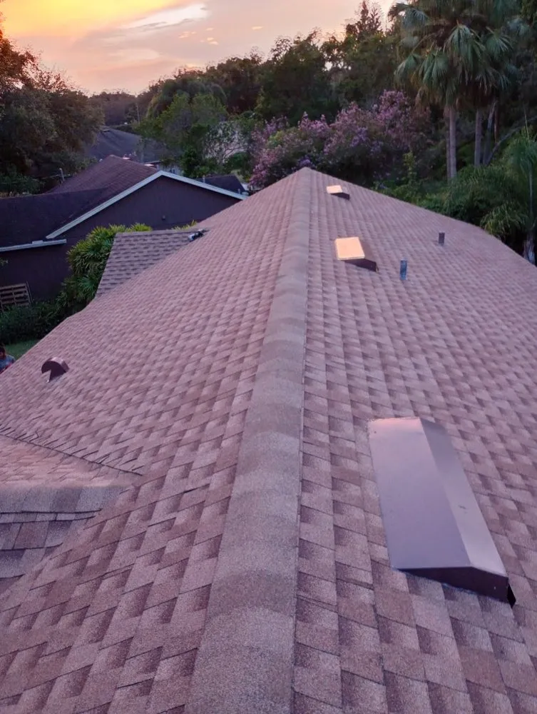 Slide of Vanguard Home Repair and Painting Services