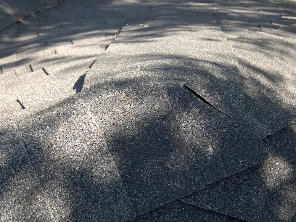 Slide of Vasquez Building Contractor