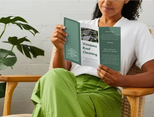 Vasquez Roof Cleaning