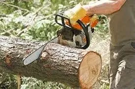 Slide of Vasquez Tree Service & Landscaping