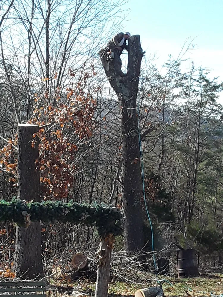 Slide of Vasquez Tree Service