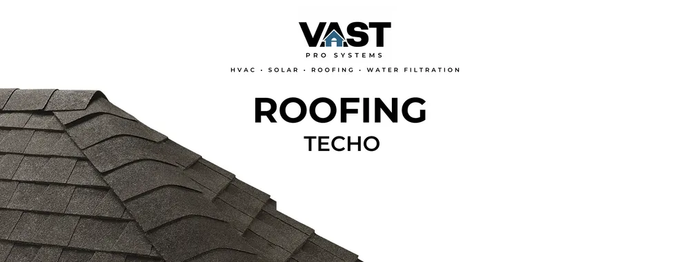 Slide of Vast Pro Systems