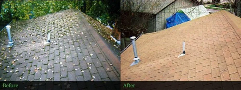 Slide of Vectra Exteriors