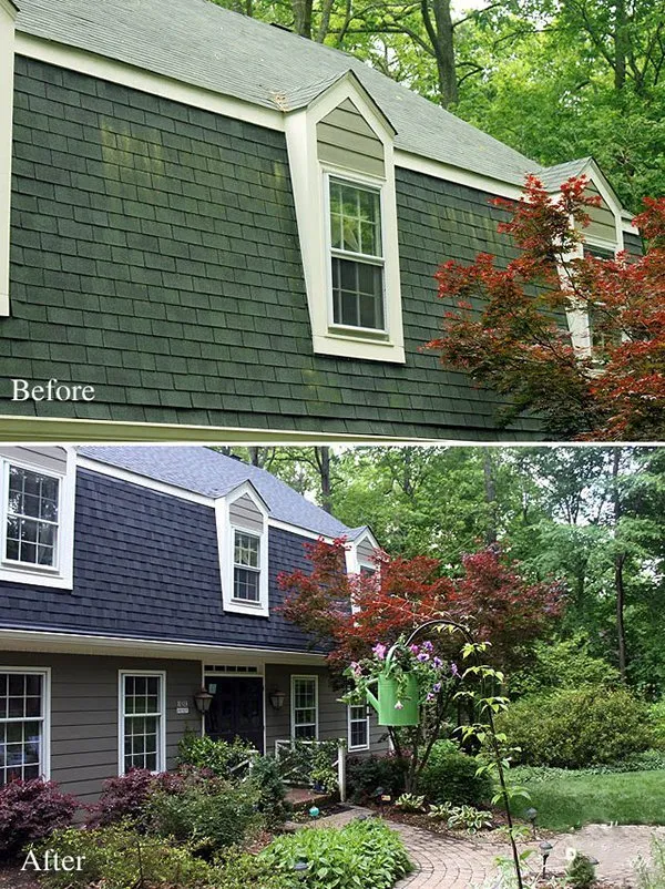 Slide of Vectra Exteriors