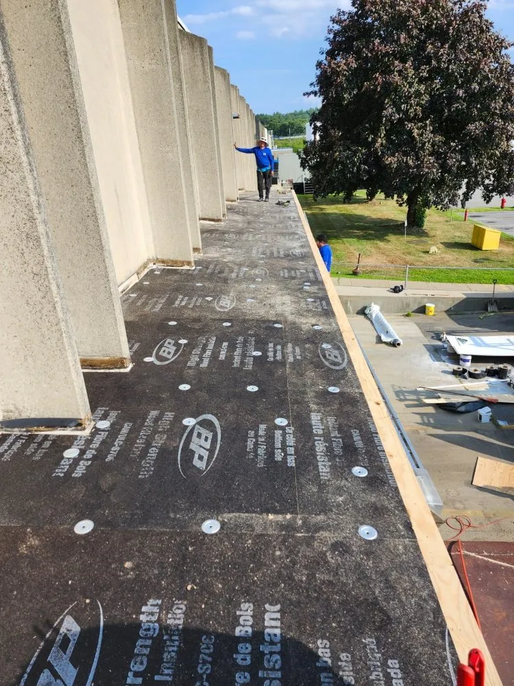 Slide of Vega Properties