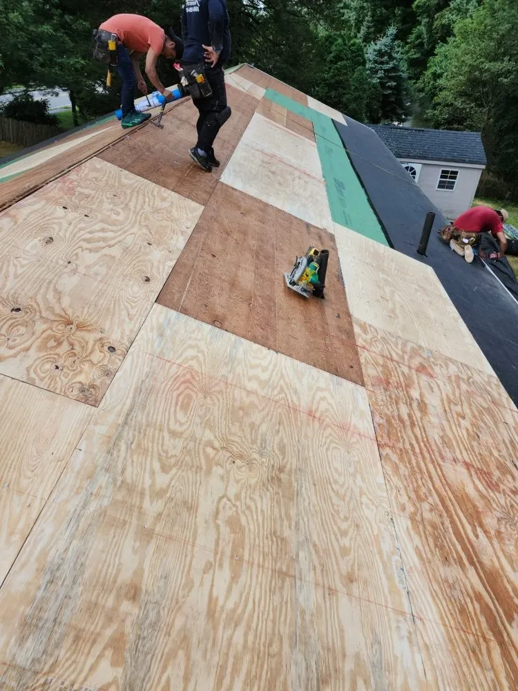 Slide of Vega Properties