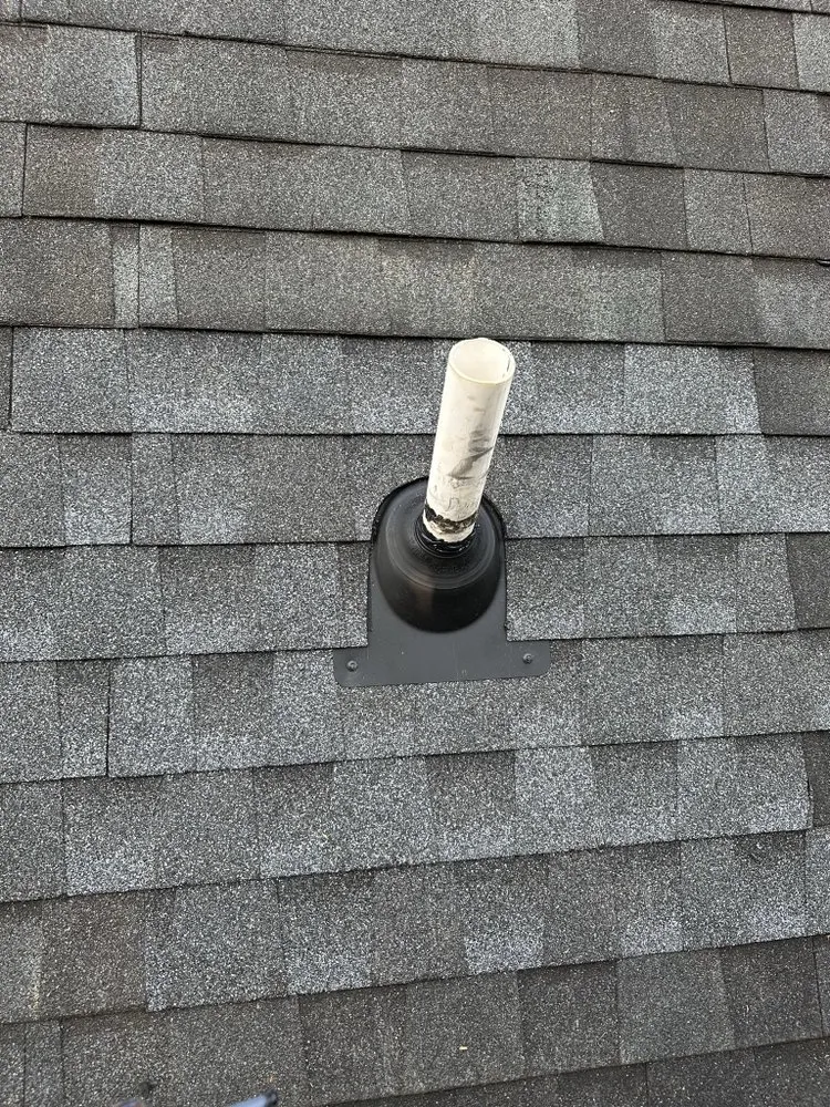 Slide of Vega Repairs