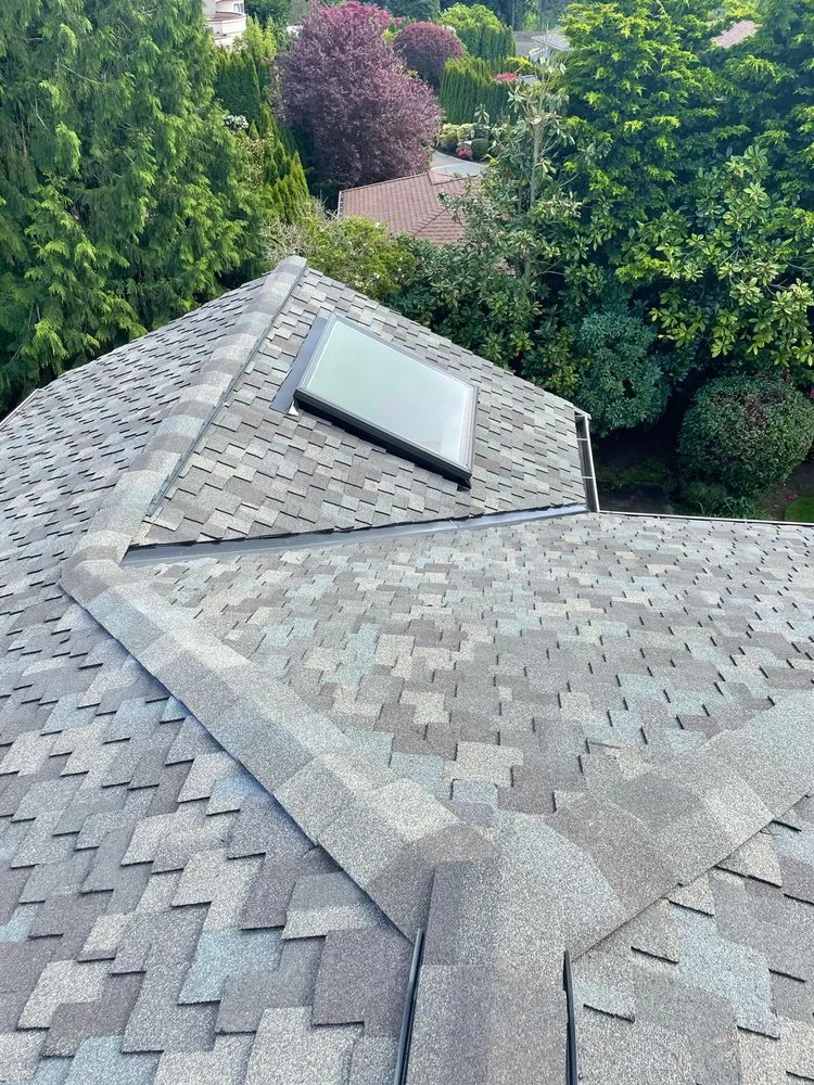 Slide of Vega Roofing