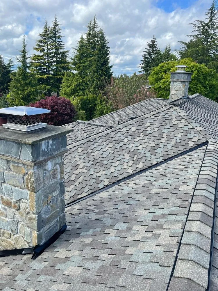 Slide of Vega Roofing