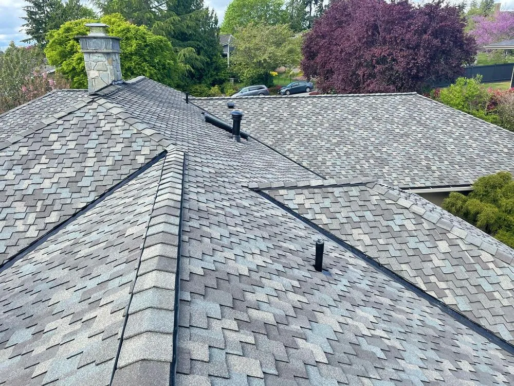 Slide of Vega Roofing