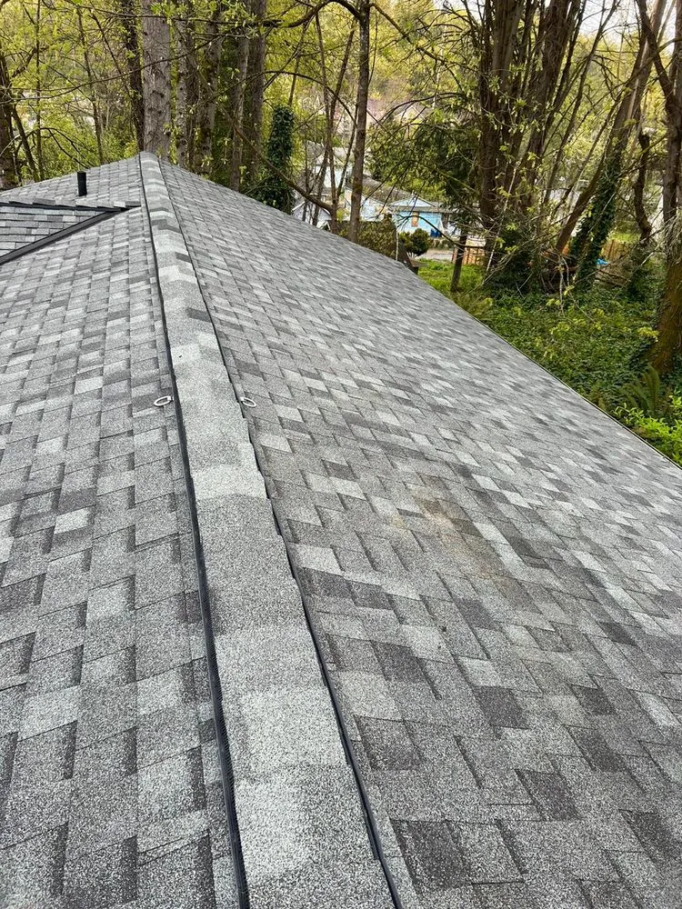 Slide of Vega Roofing