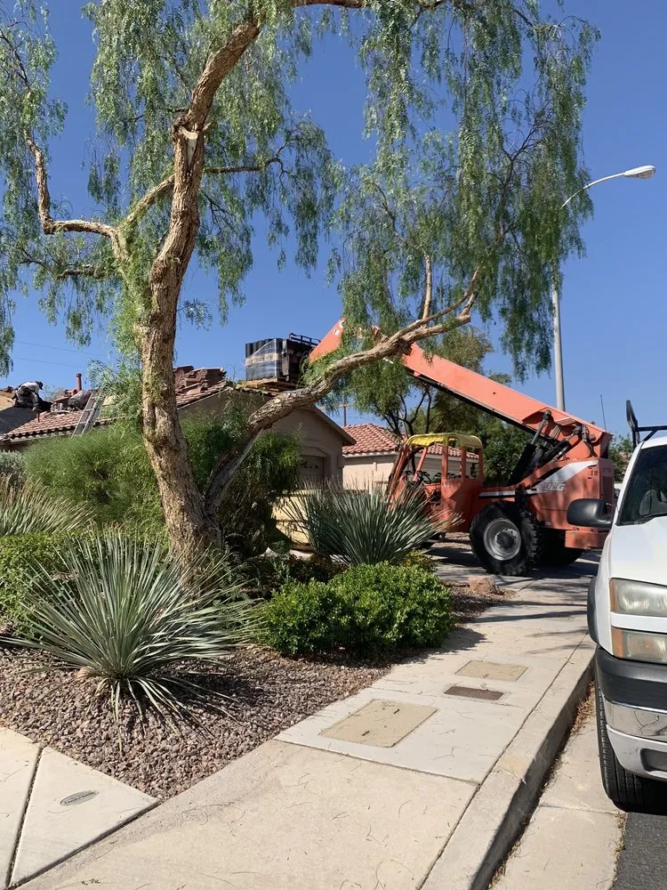Slide of Vegas Born Roofing
